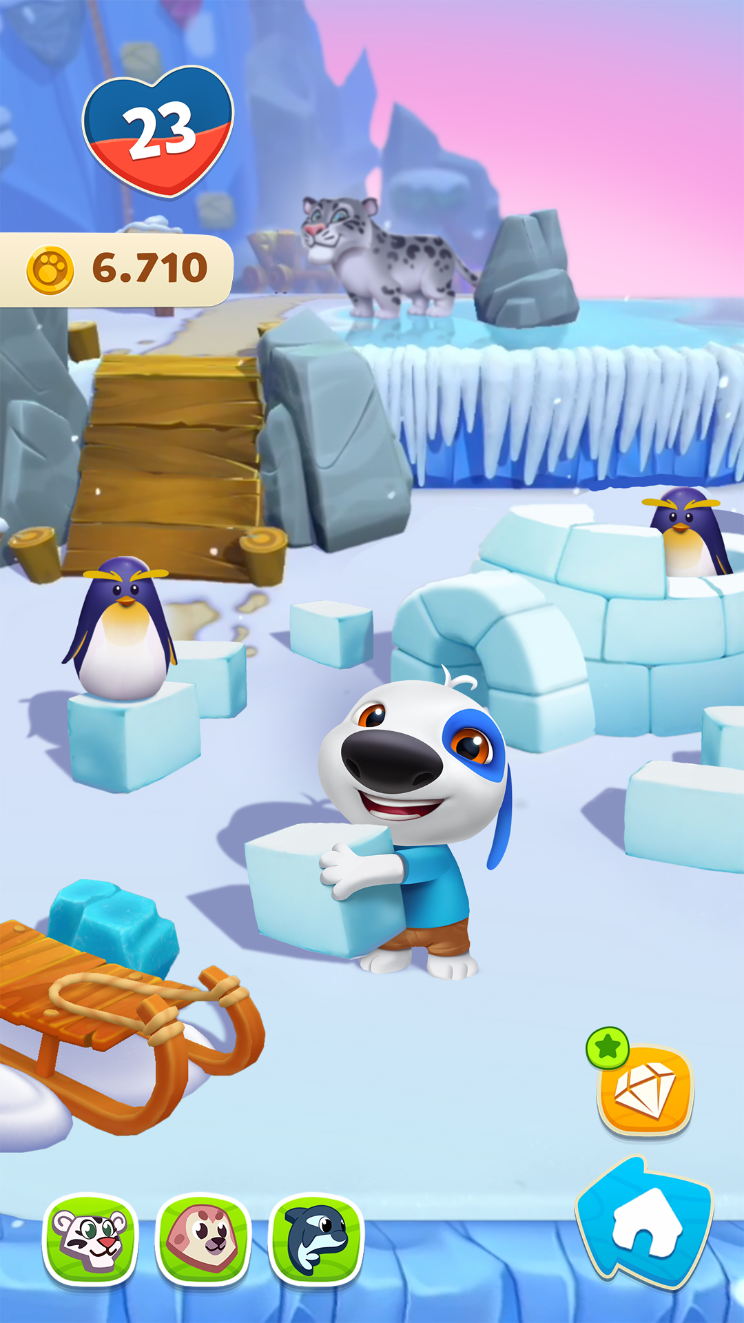My Talking Hank: Islands - App on the Amazon Appstore