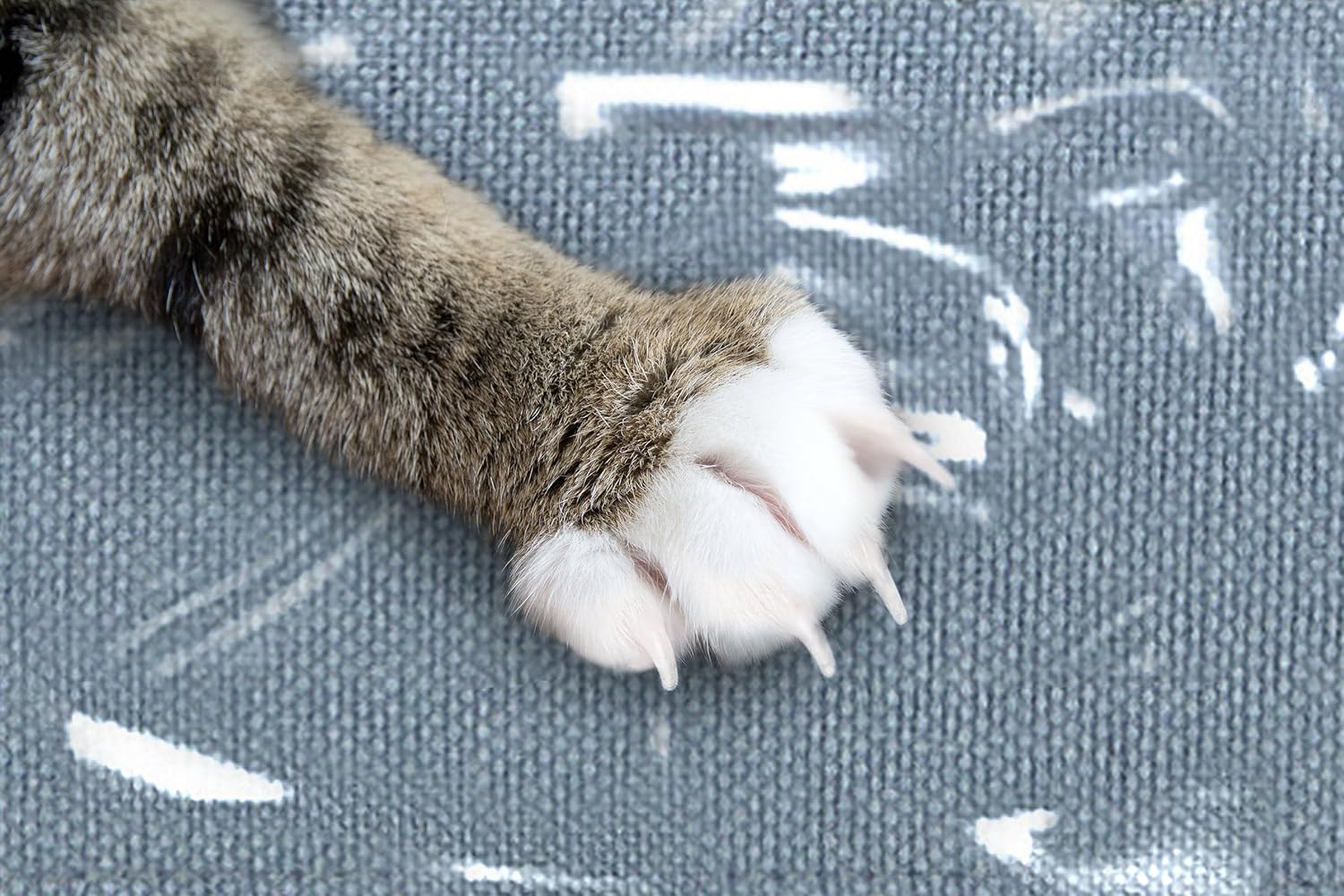 Plastic Recliner Armchair Cover For Pets | Cat Scratching Protector Clawing Deterrent | Heavy Duty Thick Clear Vinyl Chair Slipcover | Waterproof Plastic Furniture Covers For Storage And Moving