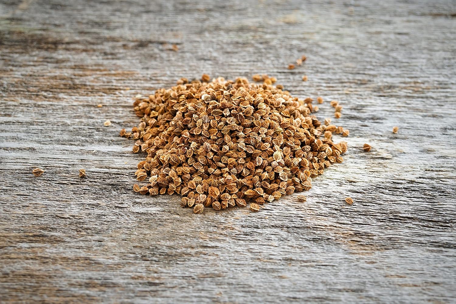 Hale Habitat & Seed Small Burnet Food Plot Seed, 5 lbs, Perennial