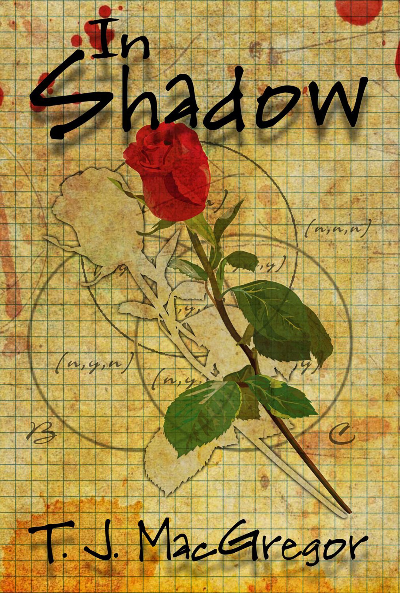 Cover of In Shadow