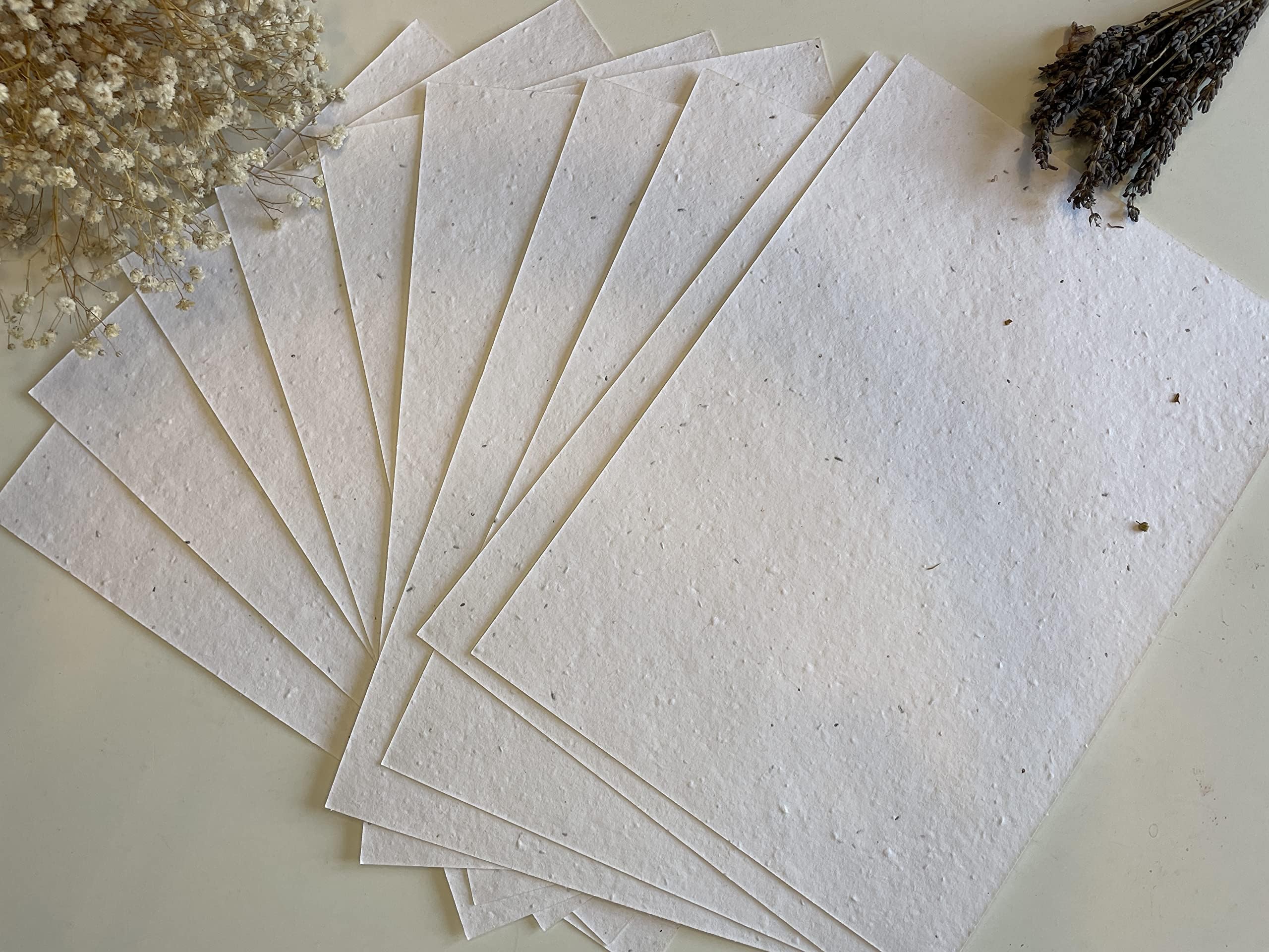 A4 & A5 Plantable Seed Paper/Card - Eco Friendly Print at Home Seeded Paper Sheets with Wildflower Seed Mix (A5 Pack of 10 Seeded Paper)