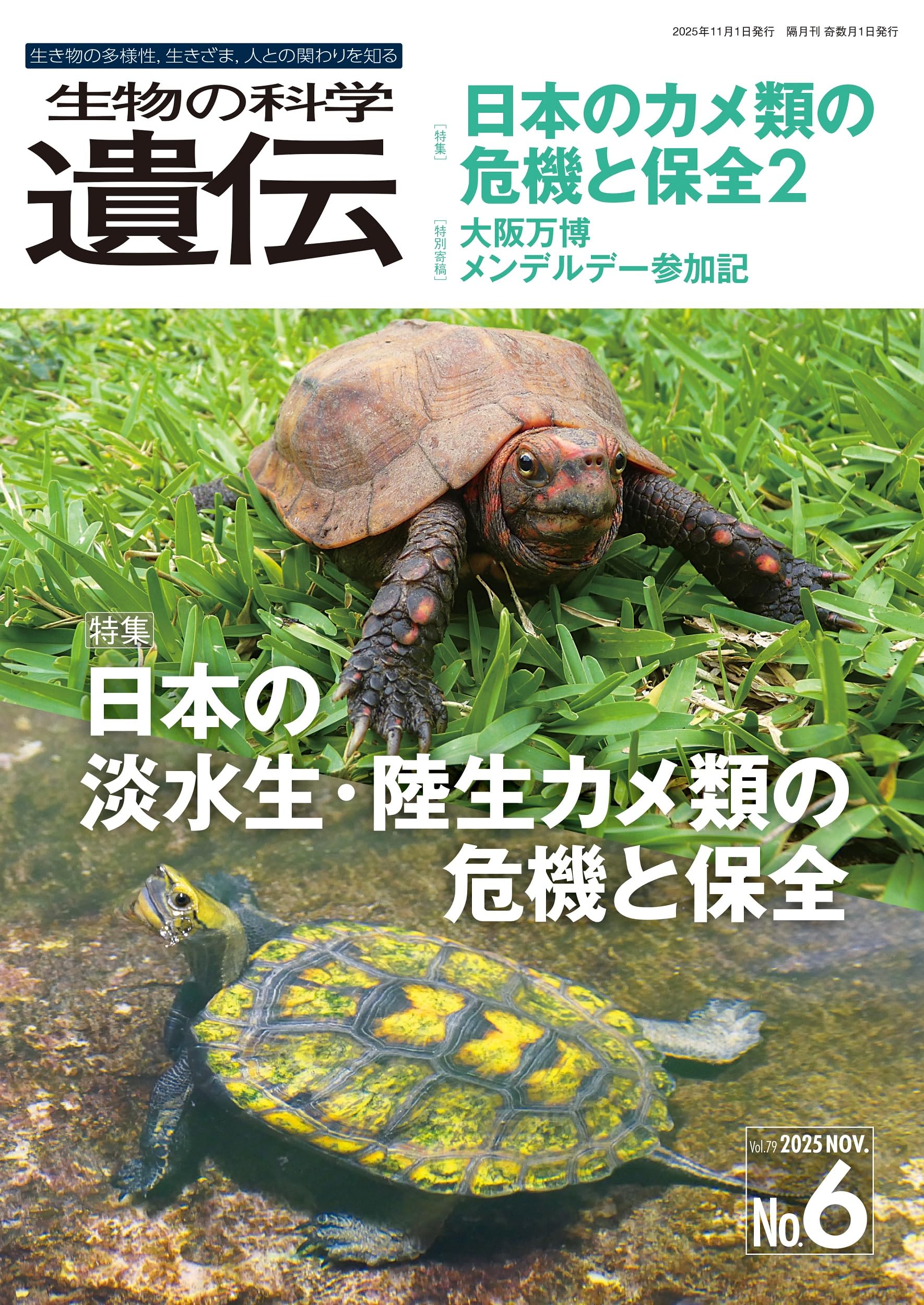 生物科学 KALSシリーズ 2025年度版 生物の科学 遺伝 2025年11月発行号(Vol.79‐No.6): 日本の淡水生・陸生