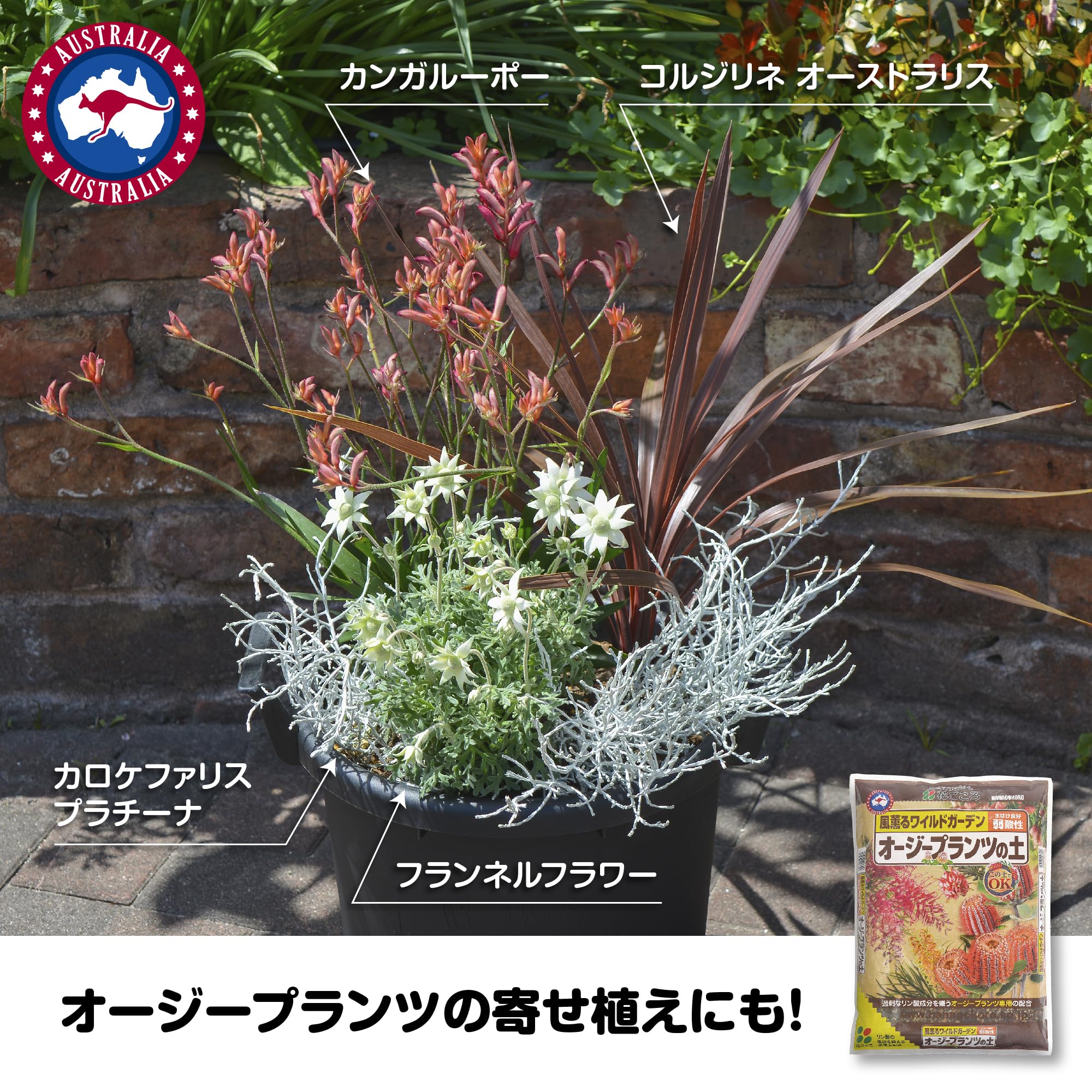 【12/13(土）購入】こころ♡様✨️専用ページ Amazon | 花ごころ オージープランツの土 12L×3袋 | 用土