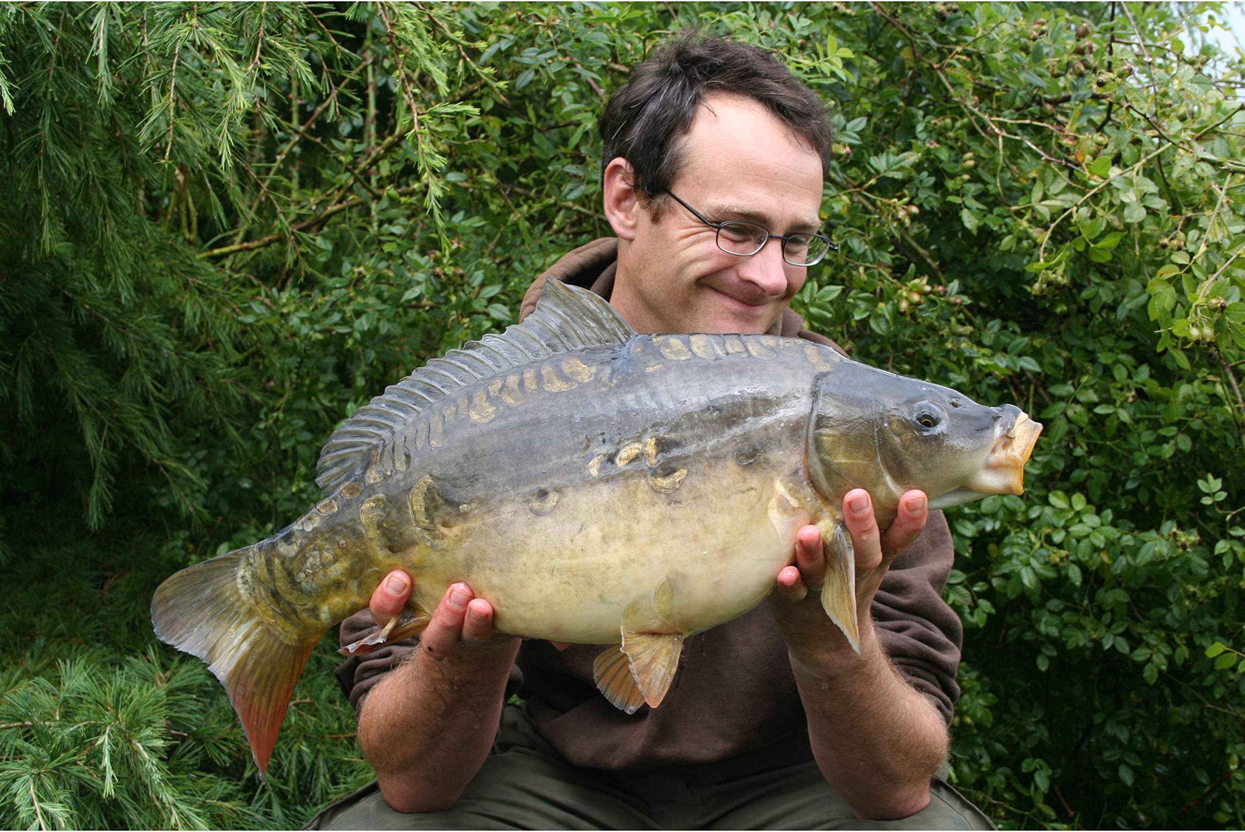 10 LB