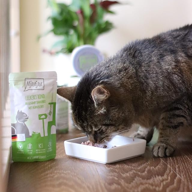 Foto 2 de 7 de MjAMjAM - comida húmeda premium para gatos