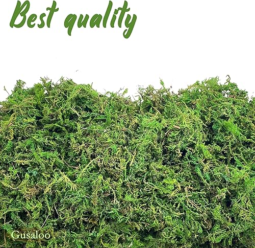 Miniatura 3 de Musgo verde para manualidades, musgo artificial decorativo para plantas en maceta, orquídea sintética, musgo, mezcla de tierra, turba, esfagno