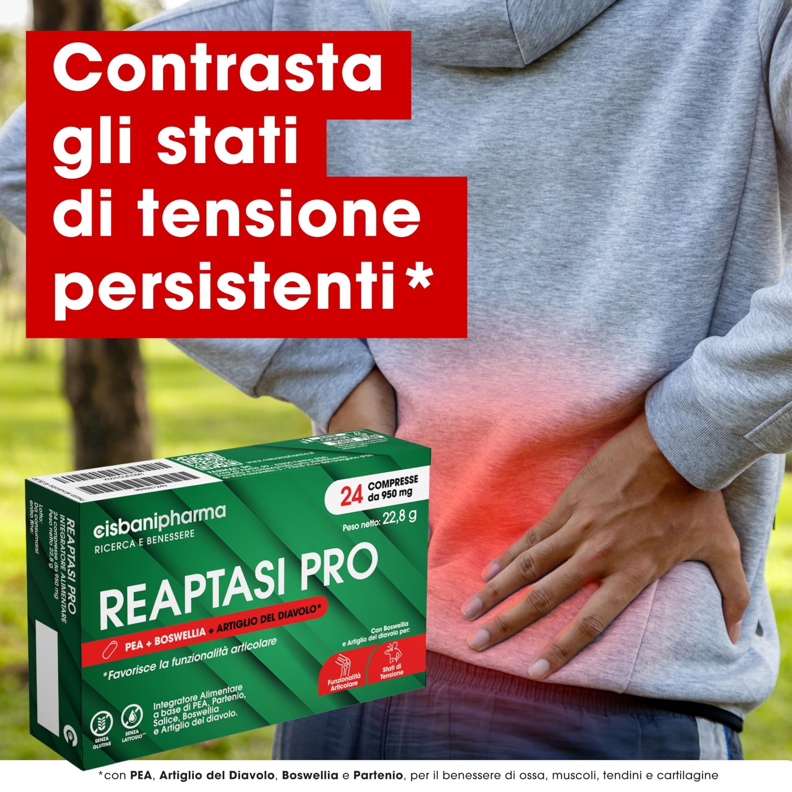 CISBANI PHARMA Reaptasi Pro, Integratore Articolazioni, Favorisce la Normale Funzionalità Articolare, con PEA, Artiglio del Diavolo, Boswellia e Partenio – 24 Compresse