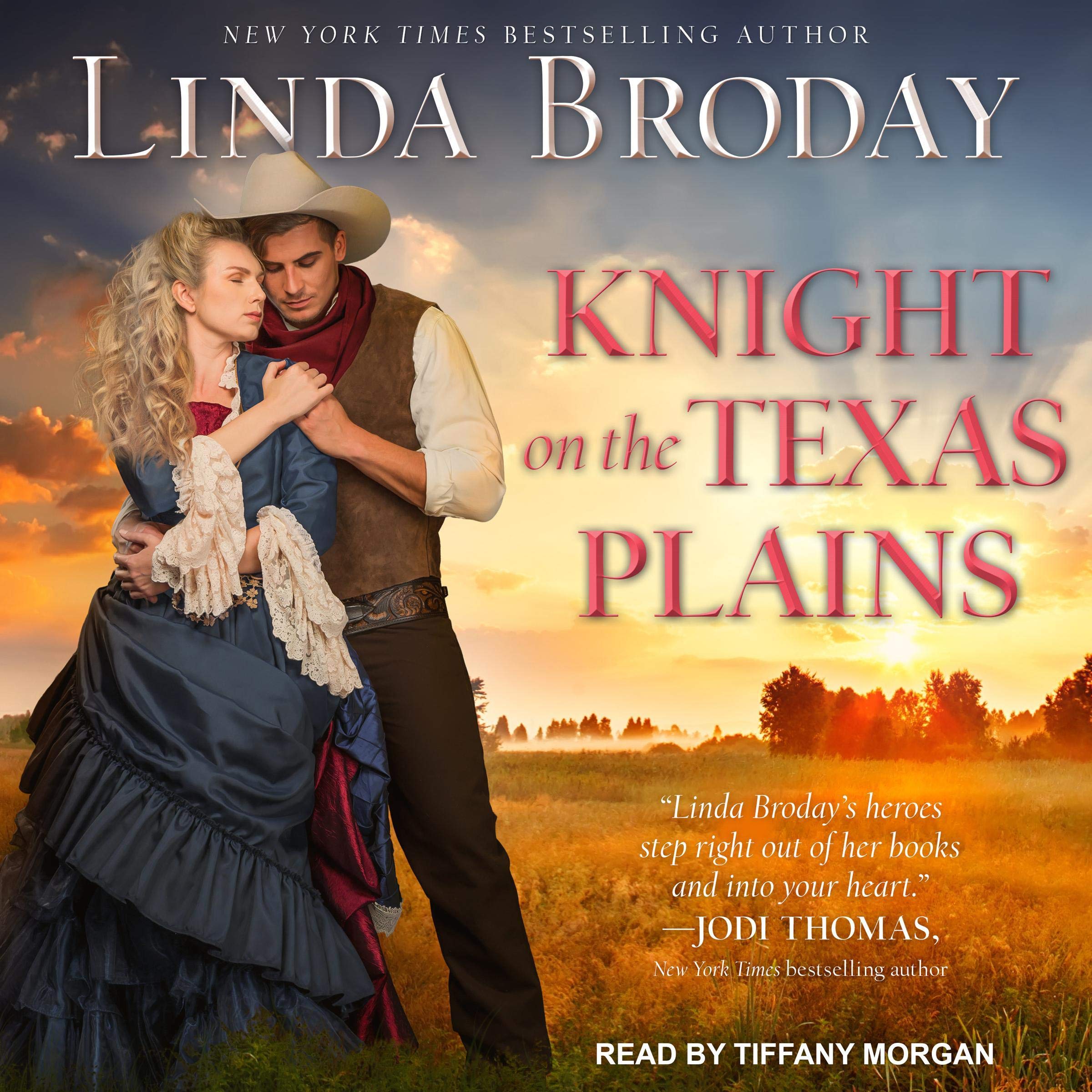 Cover art for Knight on the Texas Plains