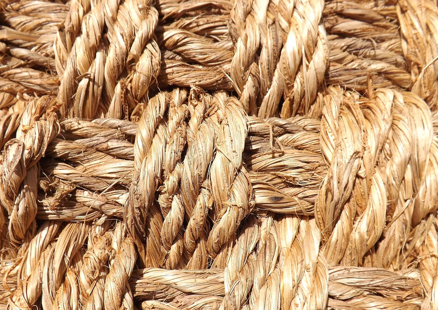 Double Door Abaca Weave Doormat (72”x32”)