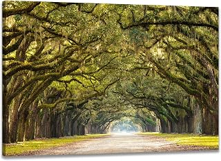 Forest Canvas Wall Art Decor Moss Covered Green Oak Trees Picture Painting Artwork Framed Poster for Living Room Modern Stretched and Framed Ready to Hang 20x30inches
