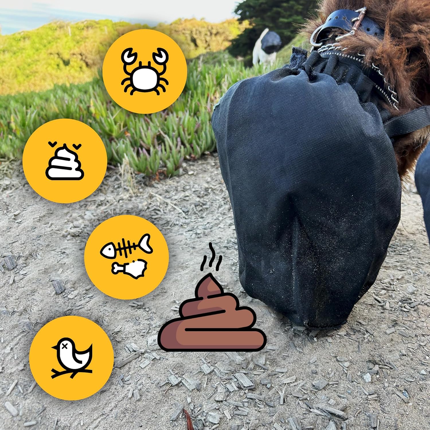 Foxtail Protection Dog mask (Large)