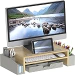 Simple Houseware Bureau d'ordinateur Riser de stand de moniteur avec tiroir de stockage Organisateur, blanc