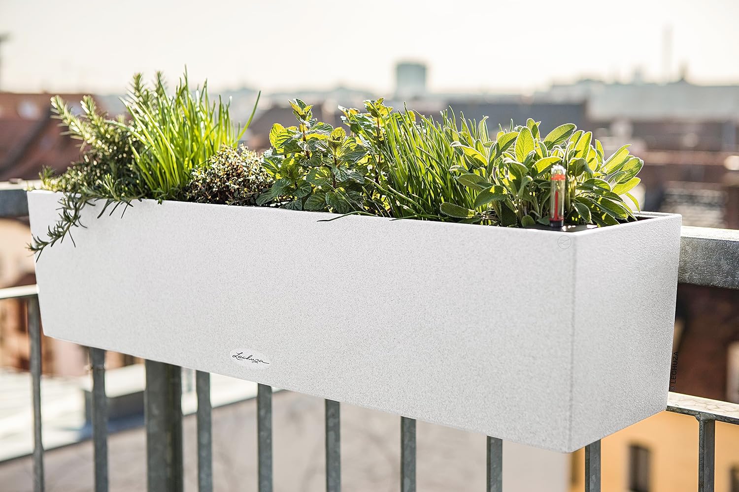 Lechuza BALCONERA Stone 80 Quartz White, Self-Watering Window Box (Railing Planter), H7.5 L31.1 W7.5 in