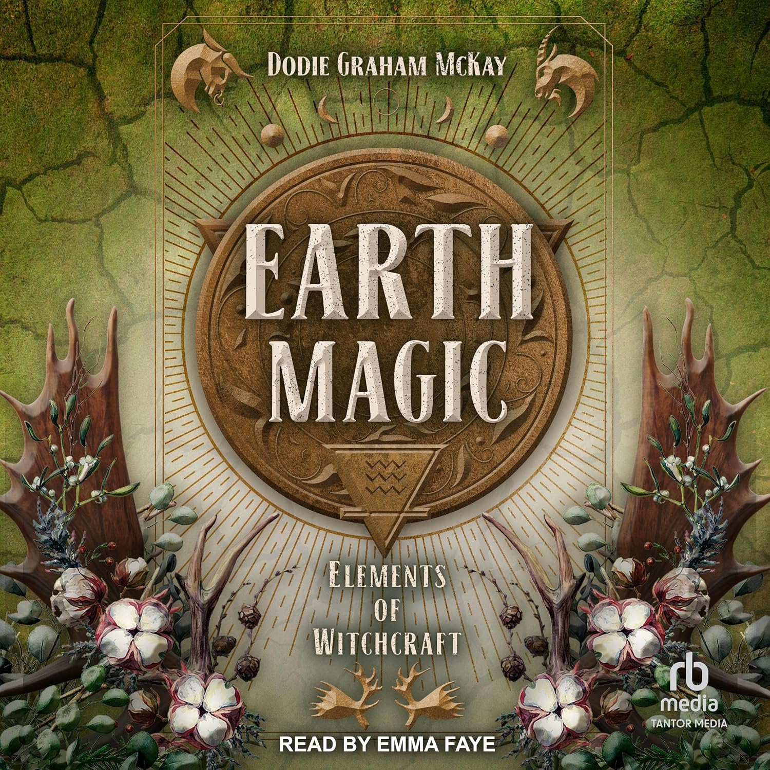 Earth Magic: Elements of Witchcraft, Book 4
