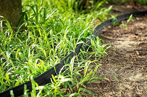 Miniatura 8 de JULMAI Kit de bordes de paisaje, bordes de jardín de 30 pies y 2 pulgadas de alto con 27 estacas de borde, bordes de goma para paisajismo, cama de