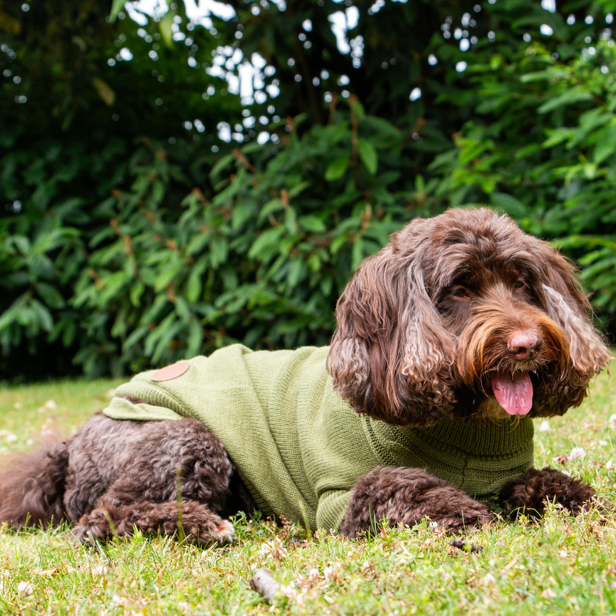 Ancol Classic Cable Knit Dog Jumper in Green, Cosy Woollen Pet Sweater with Harness Hole - Image 4