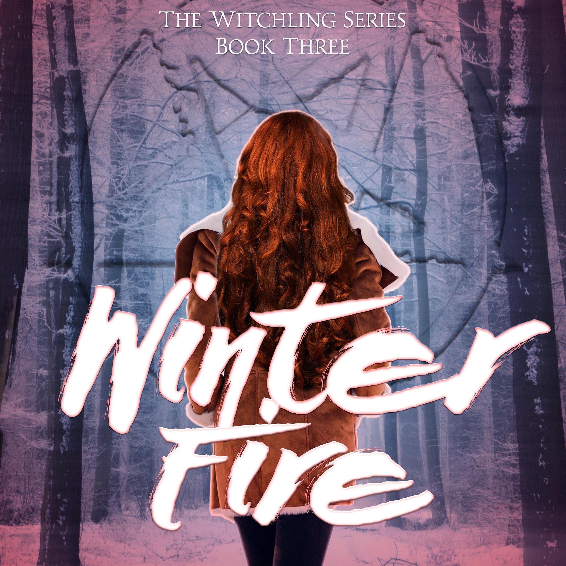 Cover art for Winter Fire