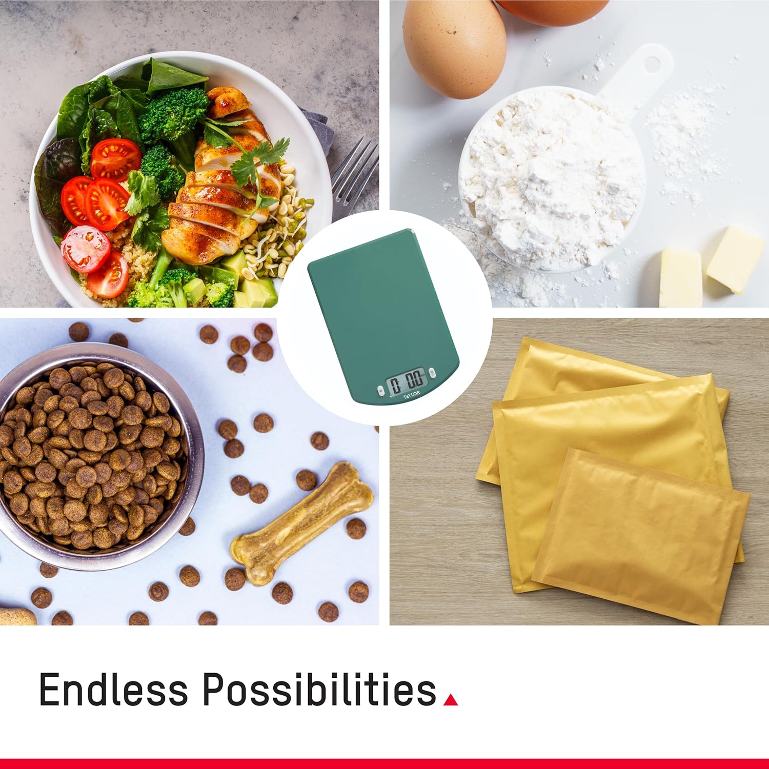 Taylor Digital Ocean Bound Plastic Kitchen Food Scale, 11 Pound Capacity, Teal