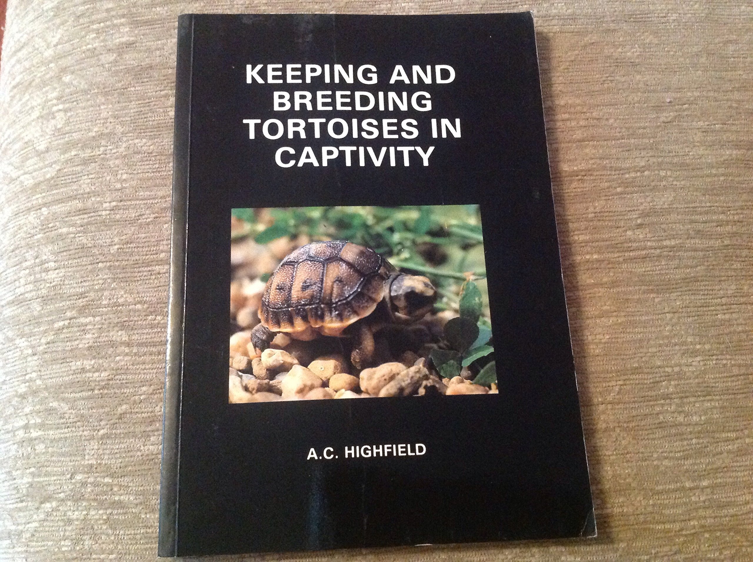 Keeping and Breeding Tortoises in Captivity