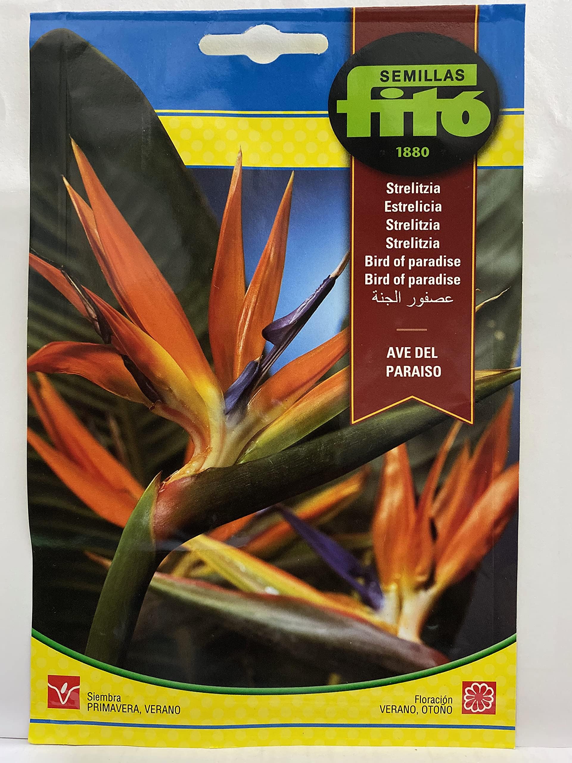 Semillas Fitó FITO® BIRD OF PARADISE SEEDS (Net weight 5 grams.) – بذور عصفور الجنة