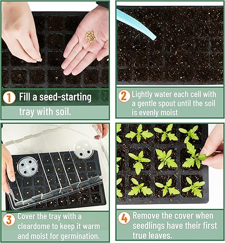 Miniatura 5 de Mr. Pen - Kits de bandejas de inicio de semillas, juego de 5, total de 200 celdas, bandejas duraderas para germinación de plantas con cúpulas