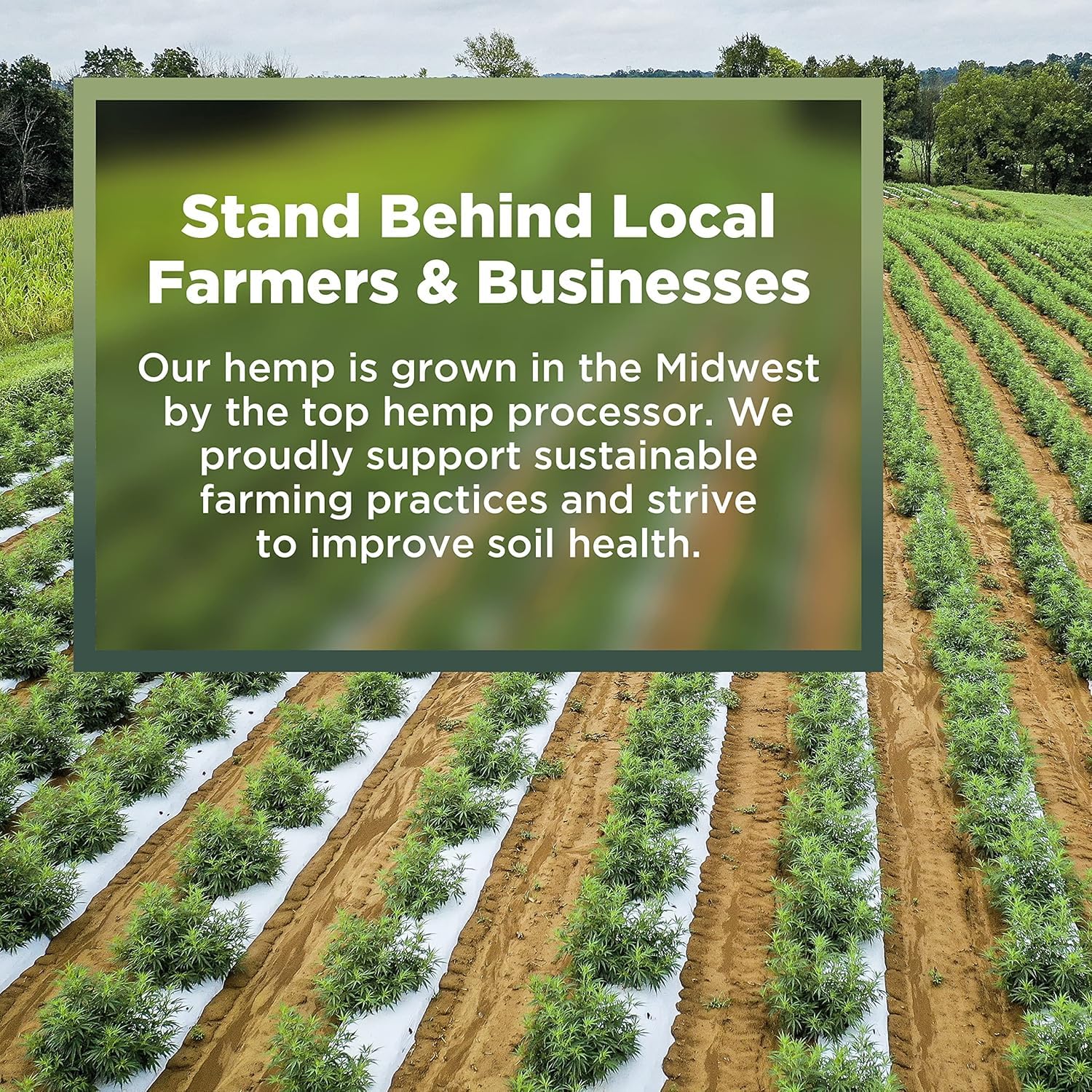 Garden Bed Organic Soil Conditioner - Hemp HURD Garden Mulch - Eco Friendly Potting Soil Aid - Moisture Retaining - Weed Suppressor - Perfect for Flowers & Vegetables - Grown in The US - 10 lbs.