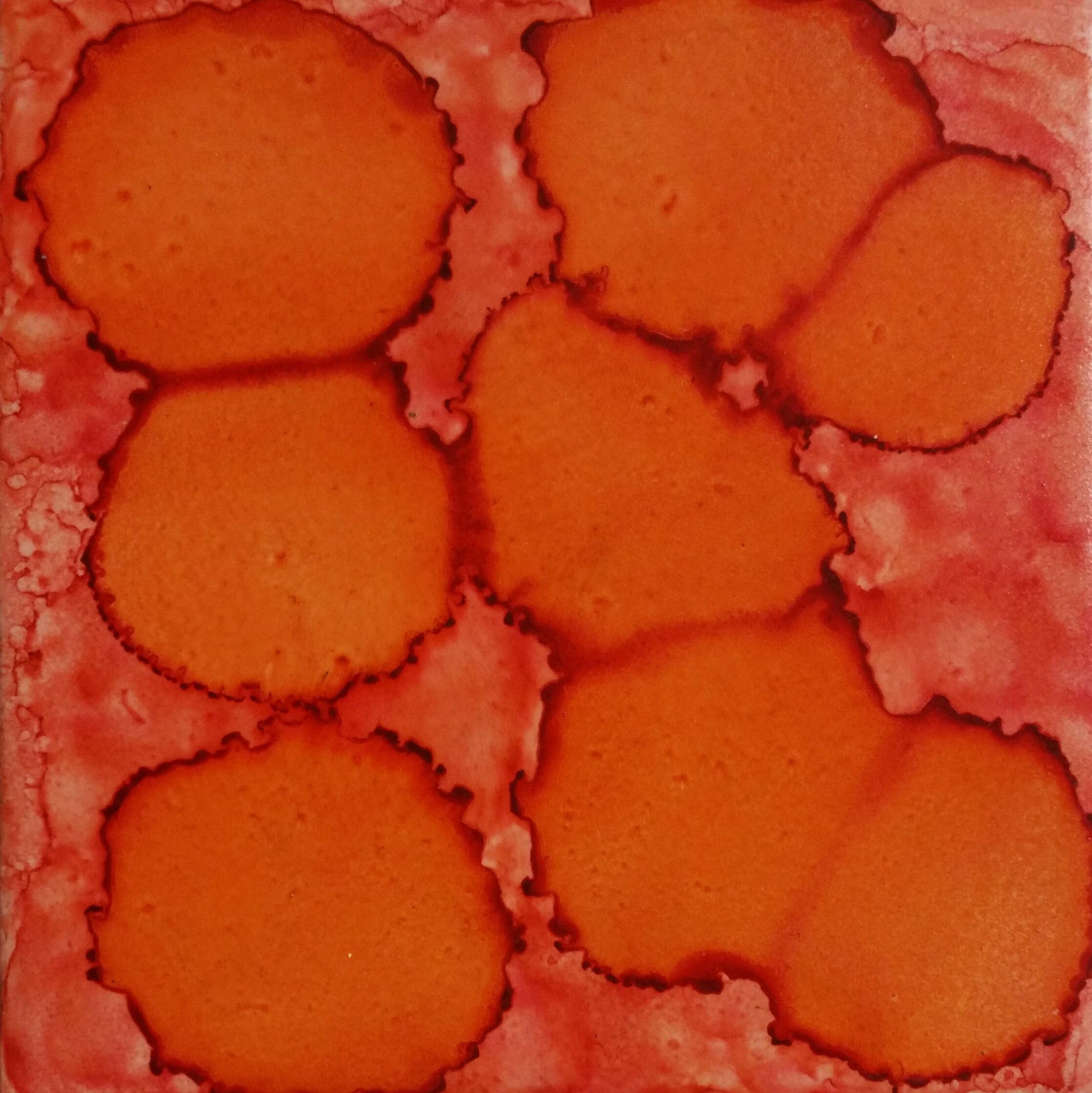 Jewels of the Tile Handmade Decorative Ceramic Coasters Set of 4 (Tangelo)