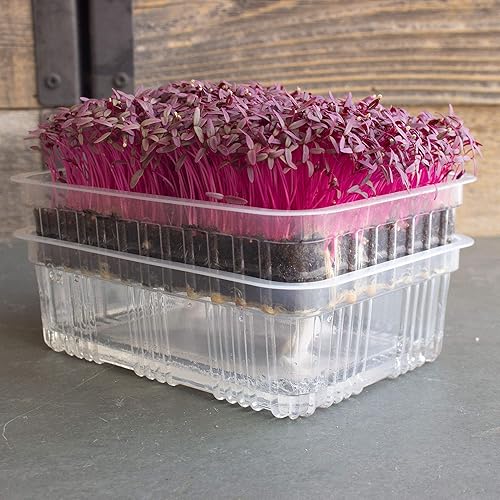 Miniatura 2 de Mini bandejas de cultivo reutilizables de auto-riego  2 bandejas  Para cualquier suelo o microgreens hidropónicos  Cultiva micro verduras, pasto de