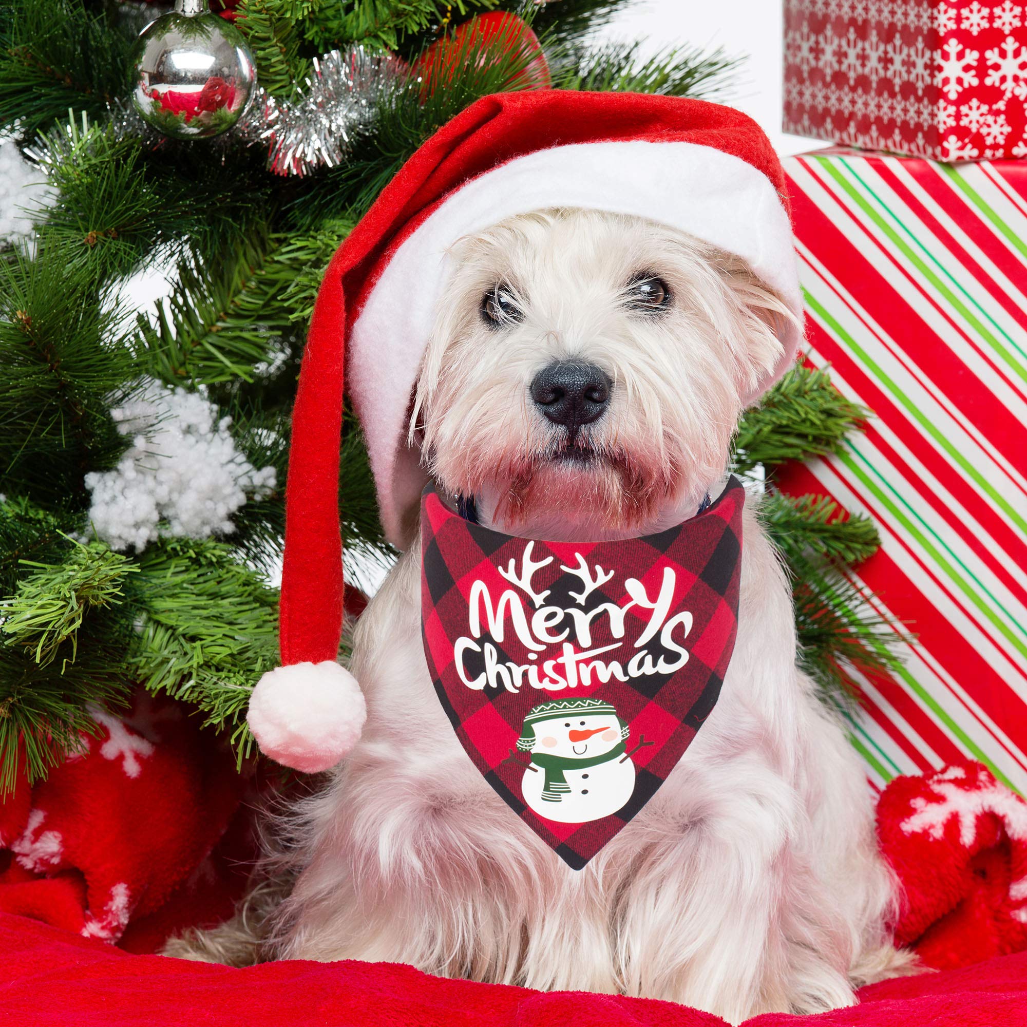 Adoggygo Hundehalstuch-Set – 4 Karierte Bandanas In Blau, Weiß, Grün, Rot, Mehreren Größen