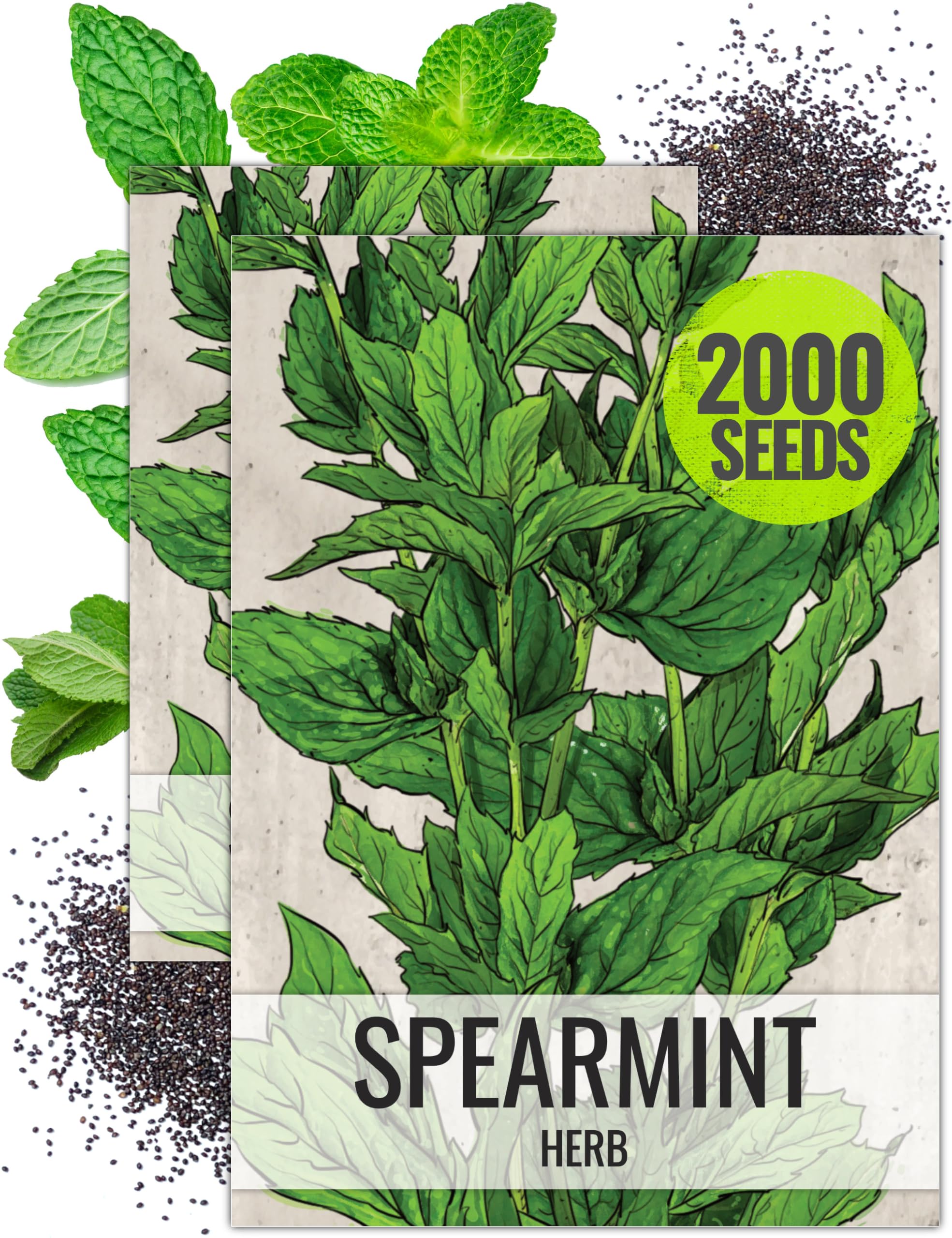 100+ Spearmint Seeds (Mentha Spicata) - Non-GMO, Easy To Grow Herb, Free Shipping!