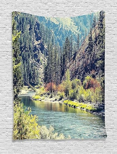 Miniatura 52 de Ambesonne Tapiz vintage, auto viejo frente a un edificio abandonado en La Habana, paisaje urbano cubano, colgante de pared ancho para dormitorio,