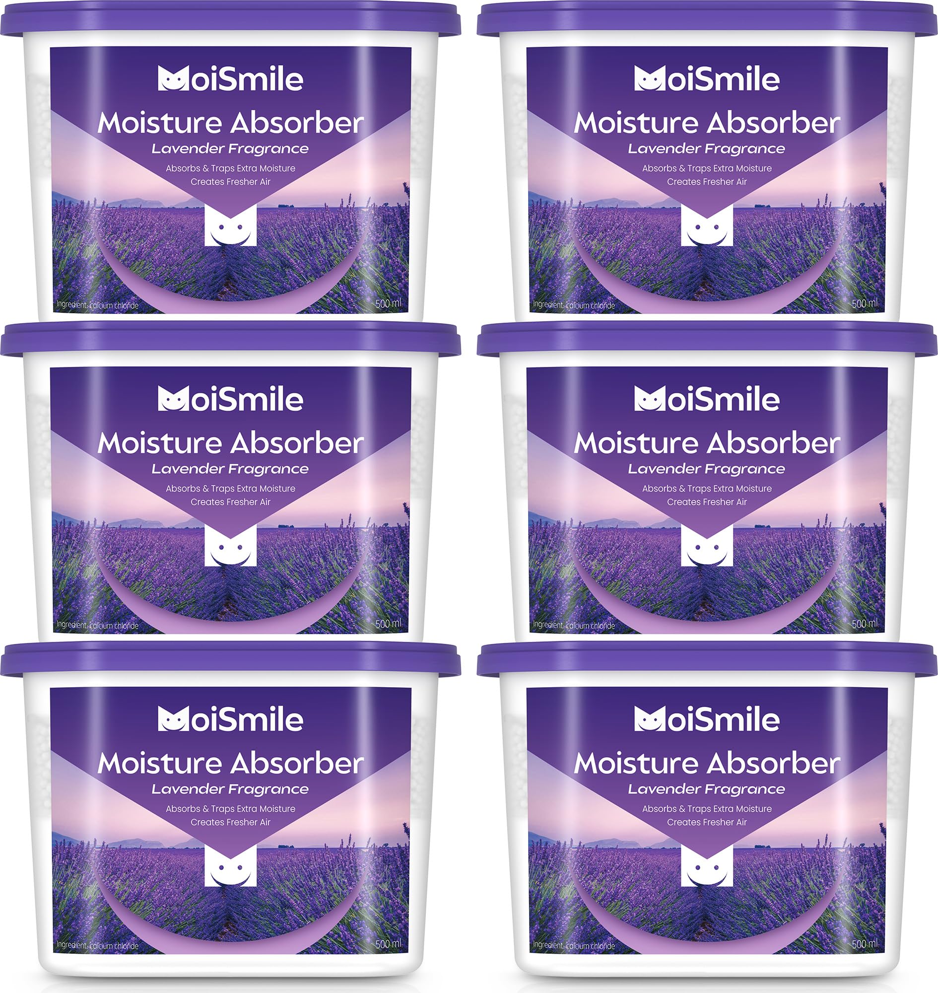Moismlie Lavandella profumo assorbitore di umidità 6er Pack – riempibili 10,5 oz. Scatole di assorbitore di umidità per armadio, bagno, auto e cantina.