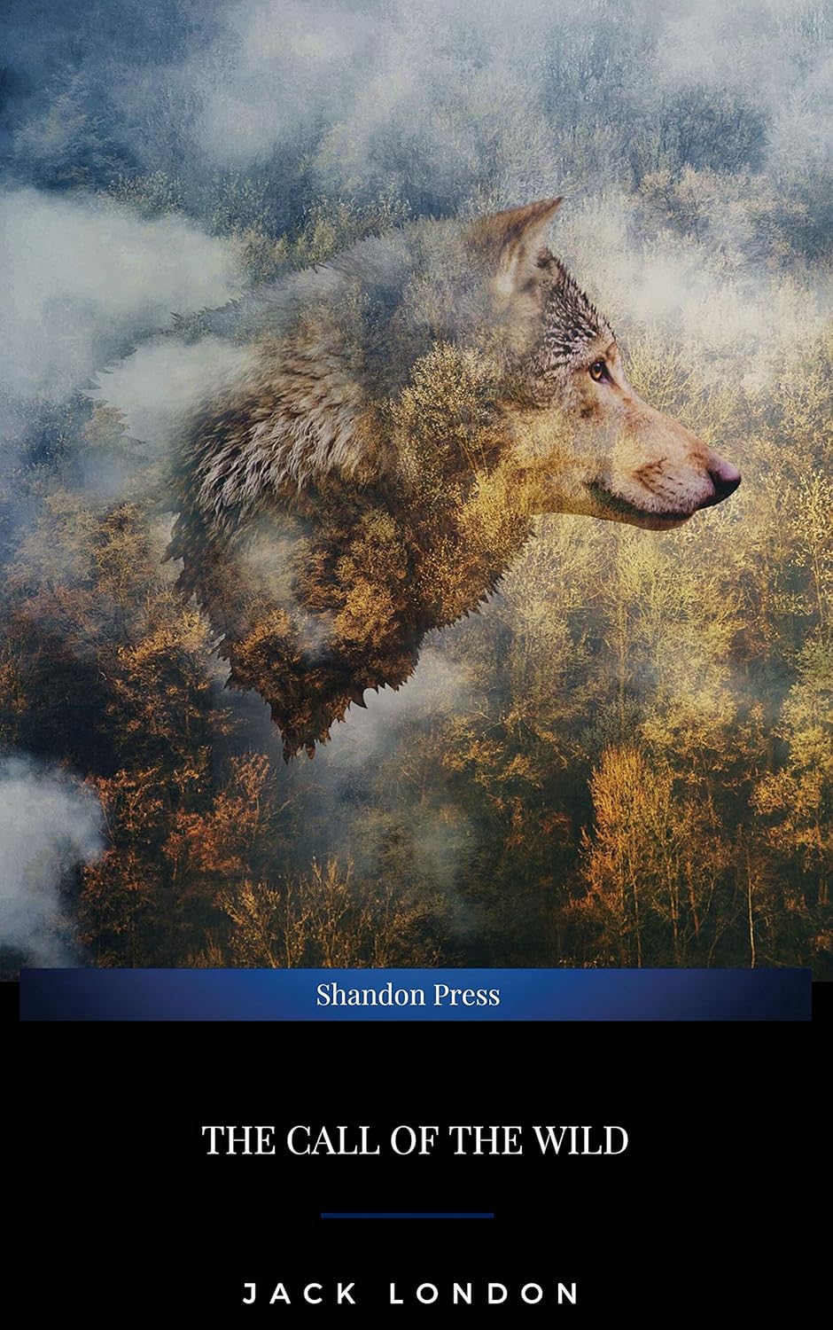 The Call of the Wild (yourbooks)
