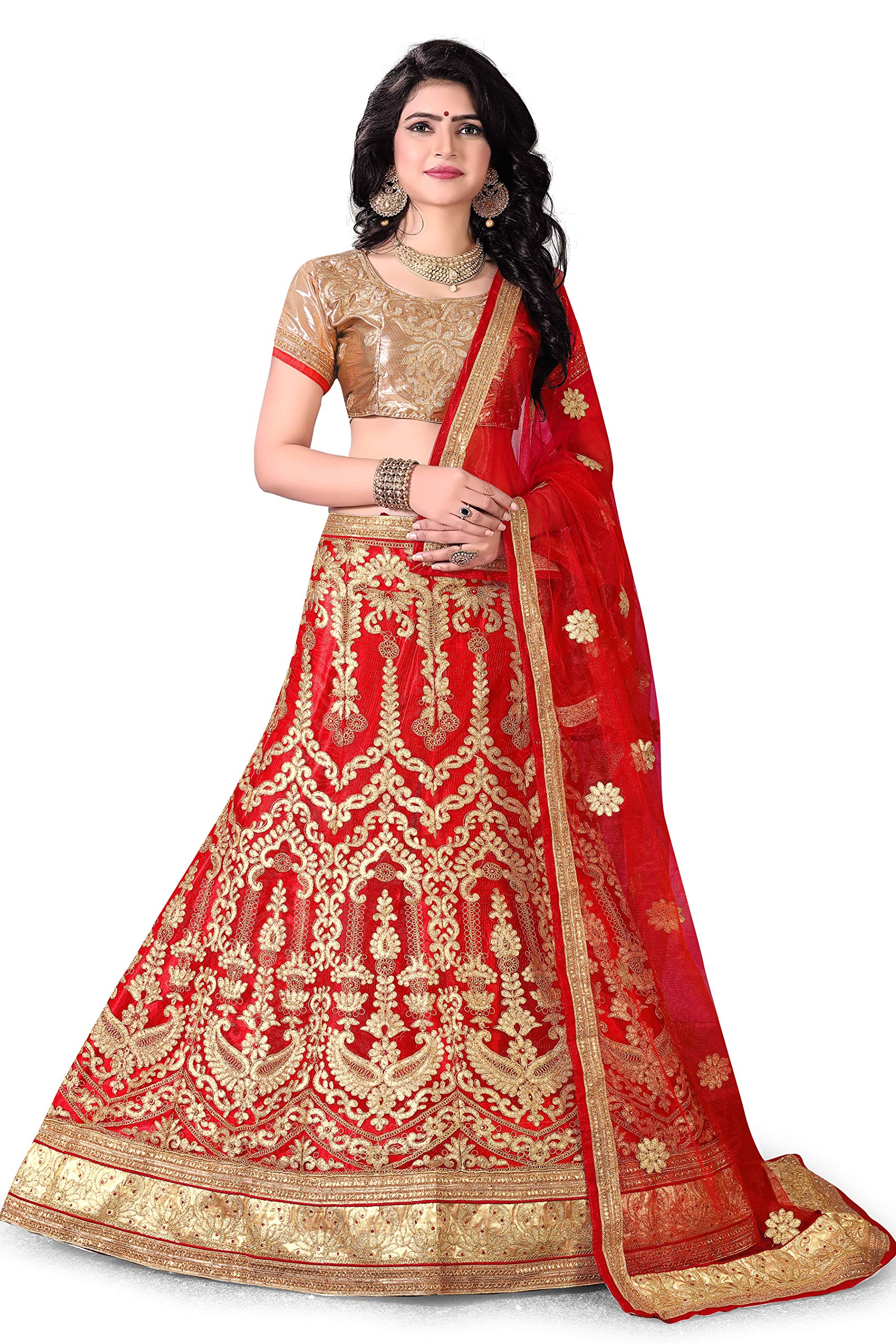 KANUSH Heavy Zari Embrodiery Work Nett Red Colour Saree
