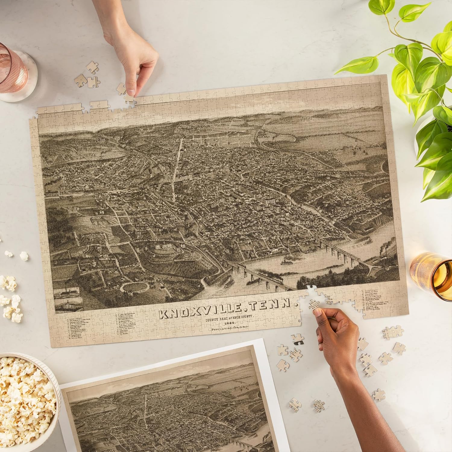 Knoxville, Tennessee, (1886), Panoramic Map (1000 Piece Puzzle, Challenging Jigsaw Puzzle for Adults, Made in USA)