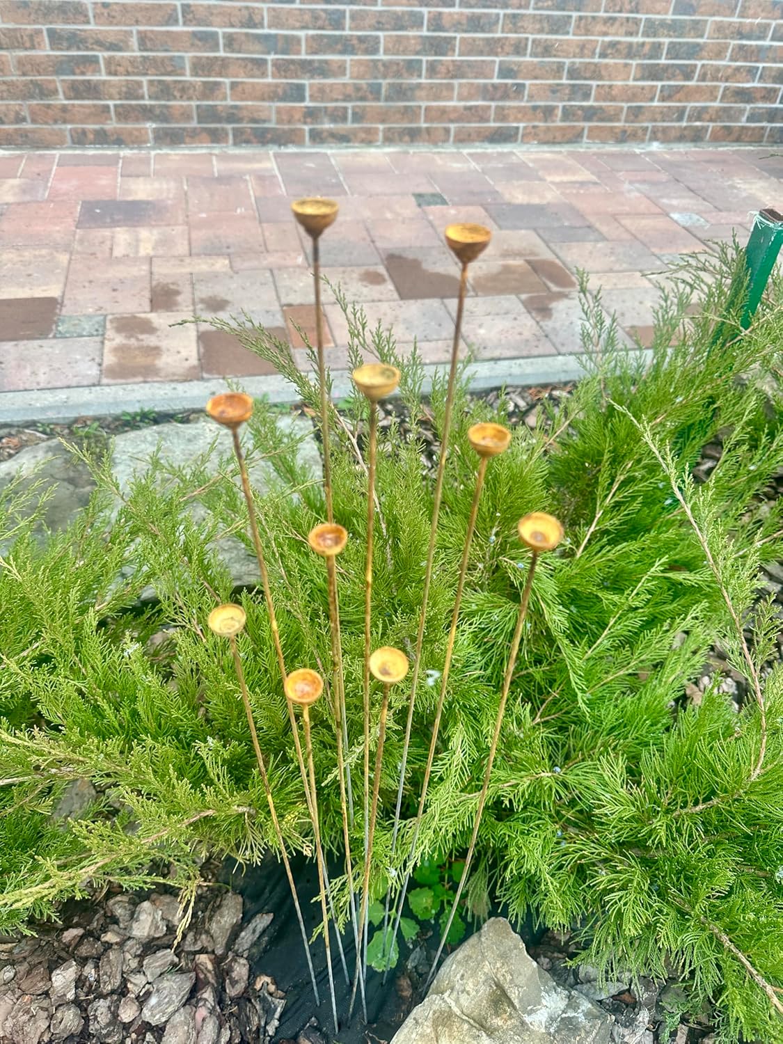 Rusty Tiny Flower Buds Set of 10, Garden Stakes Garden Decor, Rusty Metal rain Catchers