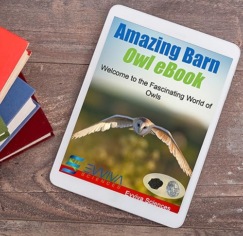 Miniatura 6 de Increíble kit de disección de pellets de búho  Juego de 5 piezas para proyectos de laboratorio científico  con pinzas y sondas de madera  Ideal para