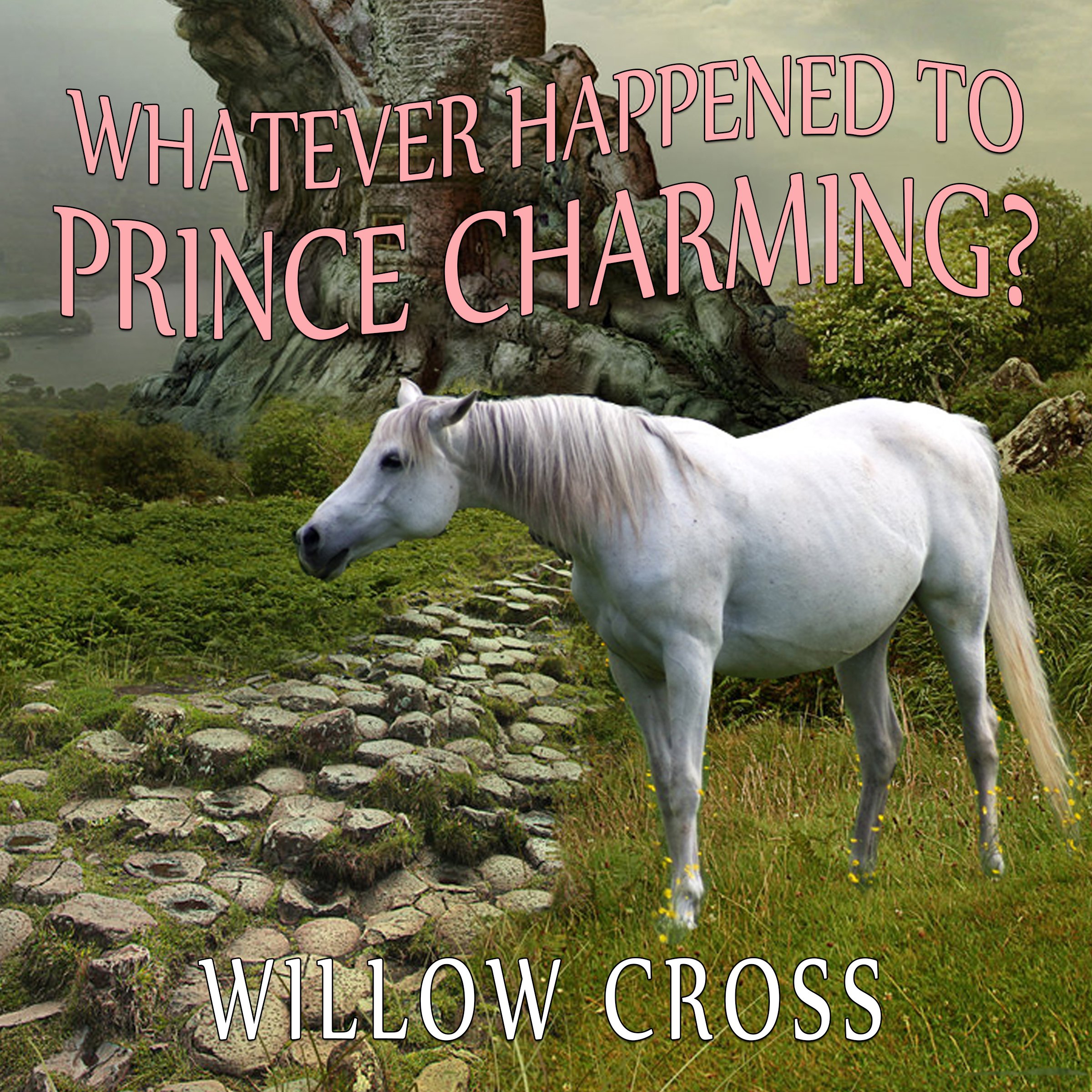 Whatever Happened to Prince Charming?