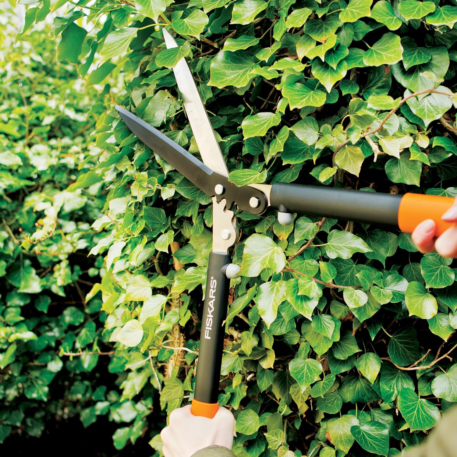 Close-up of Fiskars PowerGear Hedge Shears blades, showing precision-ground steel.