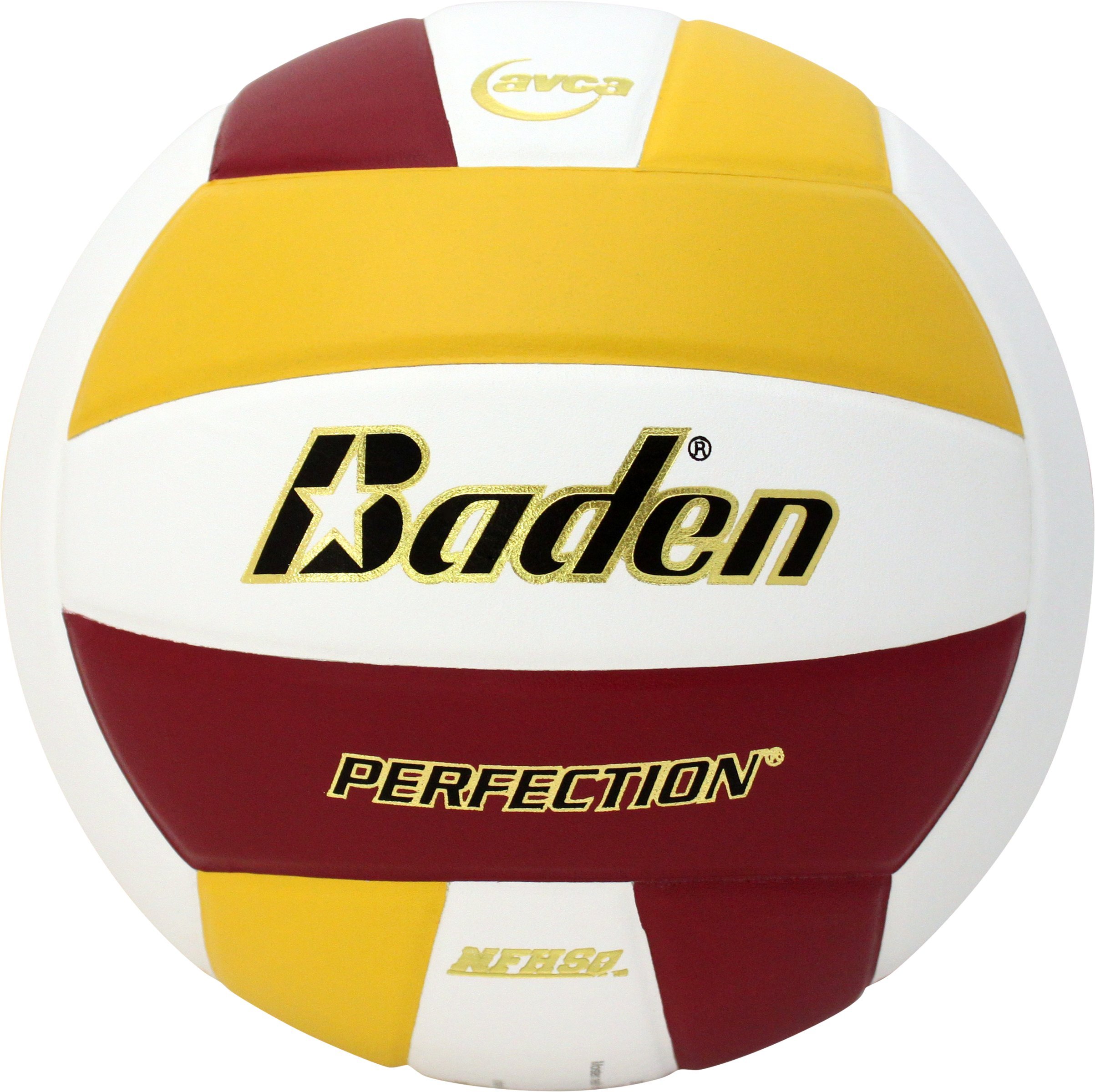 Baden | Perfection | Premium Leather | Indoor Official Game Volleyball | 13U to College | Official Size + Weight | NFHS + AVCA Approved