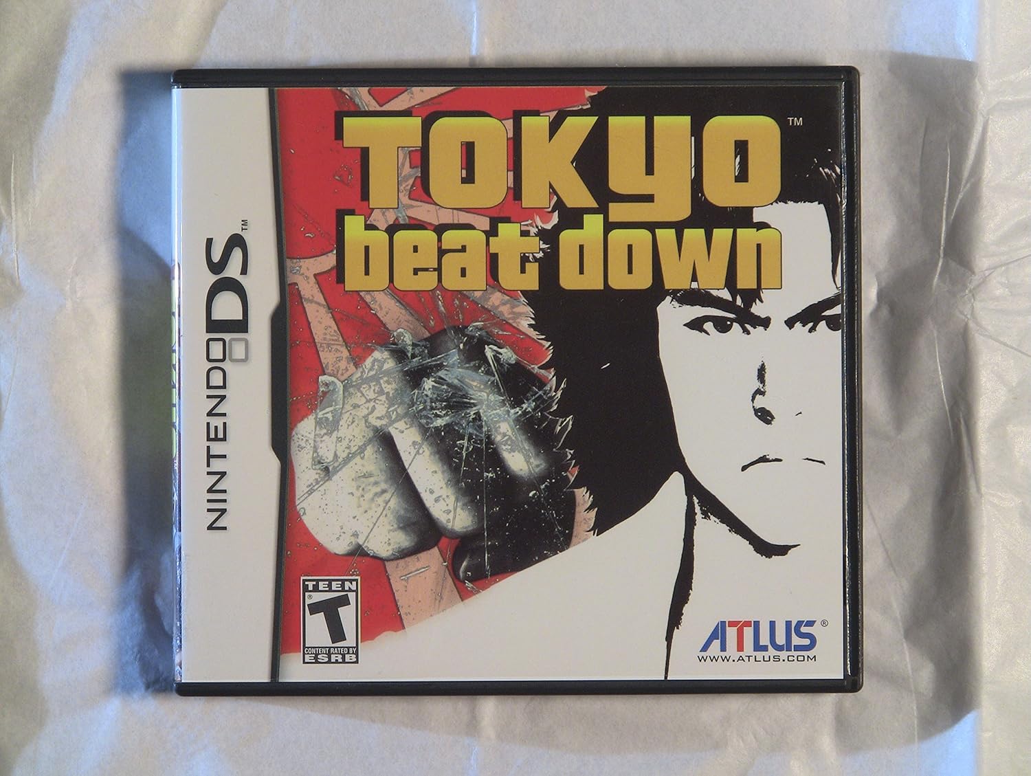 Tokyo Beat Down - Nintendo DS (Renewed)