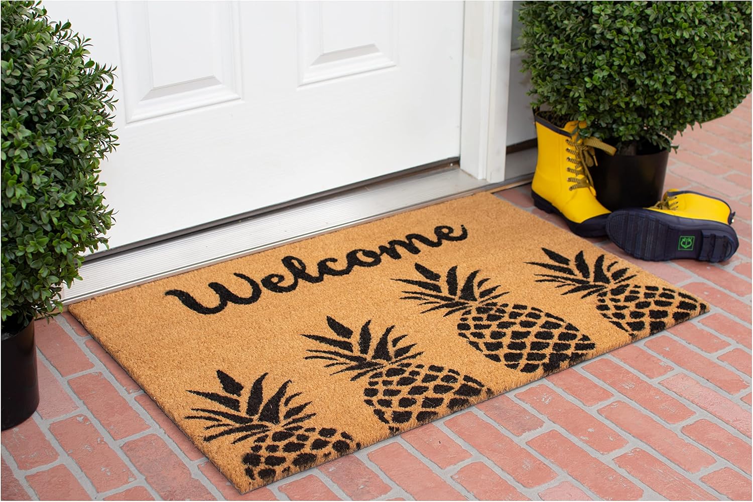 Calloway Mills AZ104992436 Pineapple Express Doormat, 24" x 36"