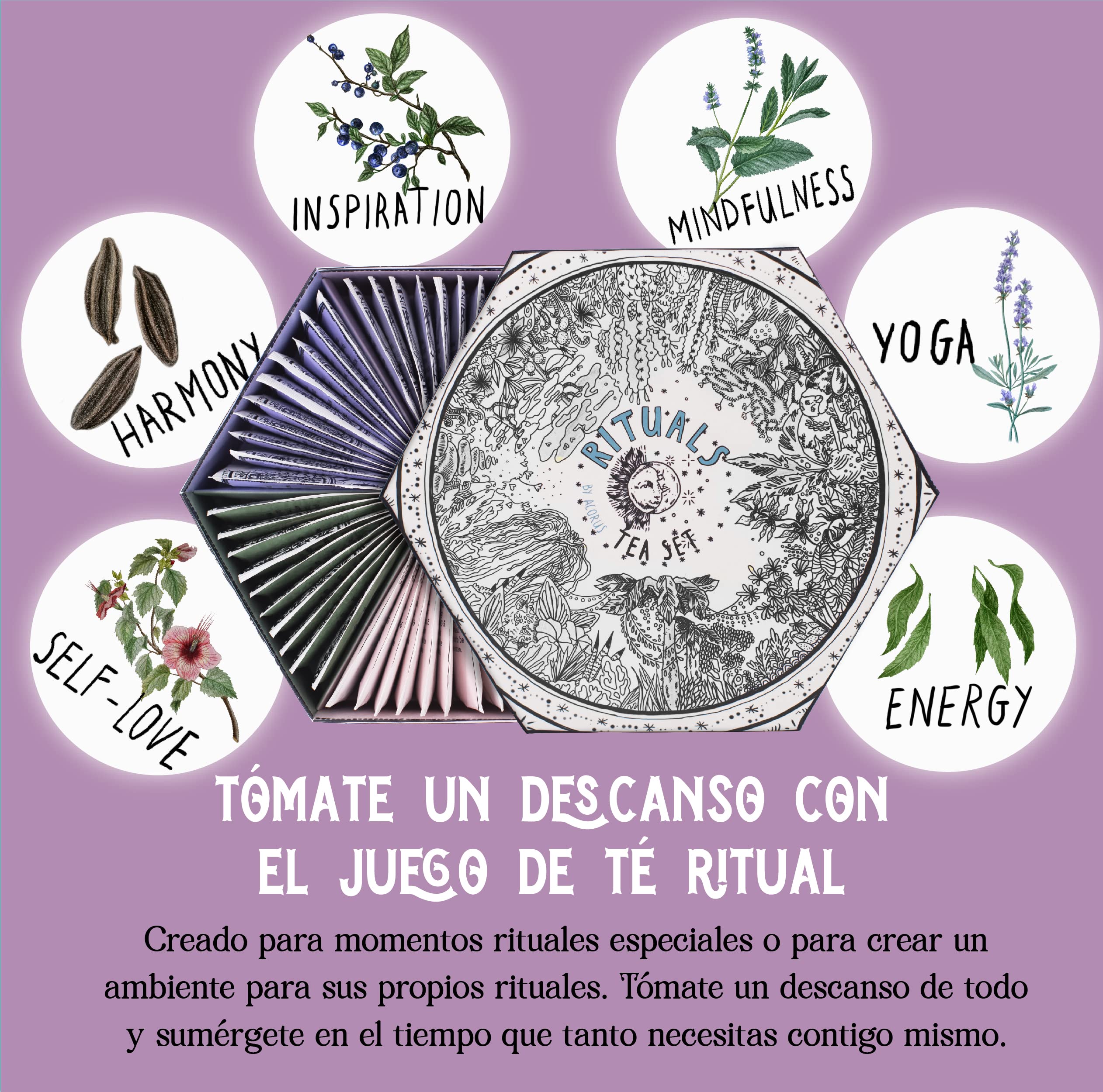 ACORUS | Surtido de té Rituals | Juego de regalo de caja de cesta de té surtido natural de 6 tés diferentes | Crea tus rituales diarios | Cuadro de selección grande | 60 bolsitas de te - 3