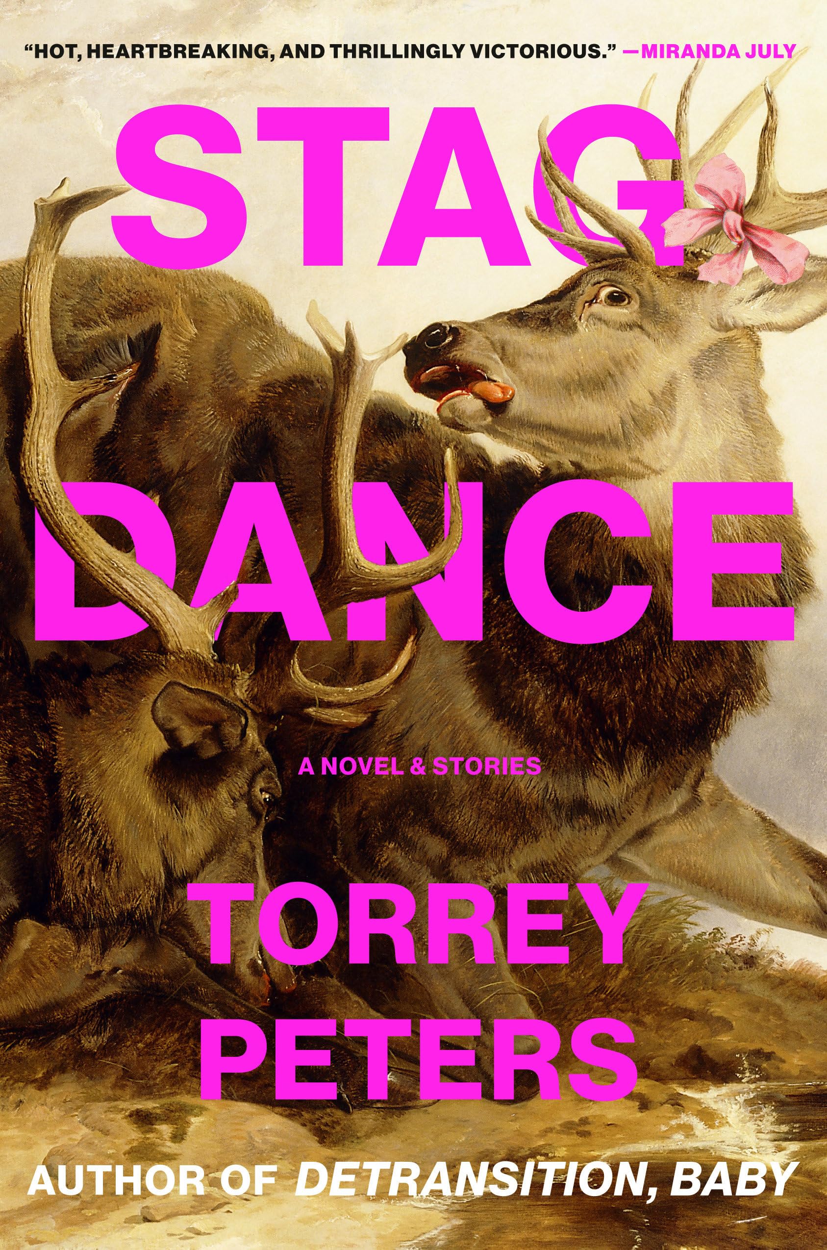 Stag Dance: A Novel & Stories