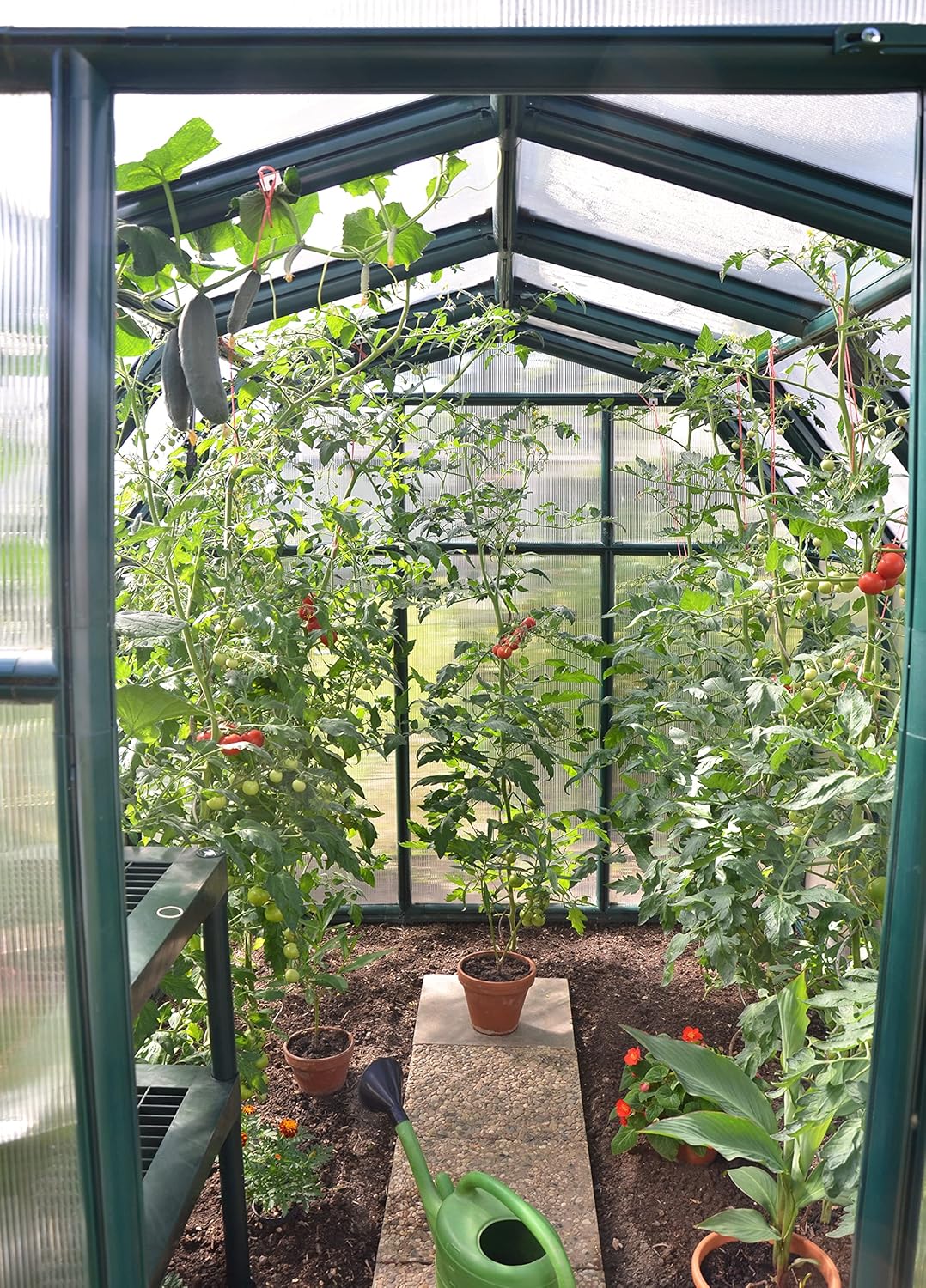 Palram - Canopia Rion EcoGrow 2 | 6 Ft. x 8 Ft. Greenhouse, Large Twin Wall Polycarbonate Heavy Duty Green House DIY Kit for Garden, Yard, Plants, Walk-in for Outdoors with Window Vent (Green)