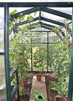 Palram - Canopia EcoGrow 6' x 8' Polycarbonate Resin Greenhouse, Green