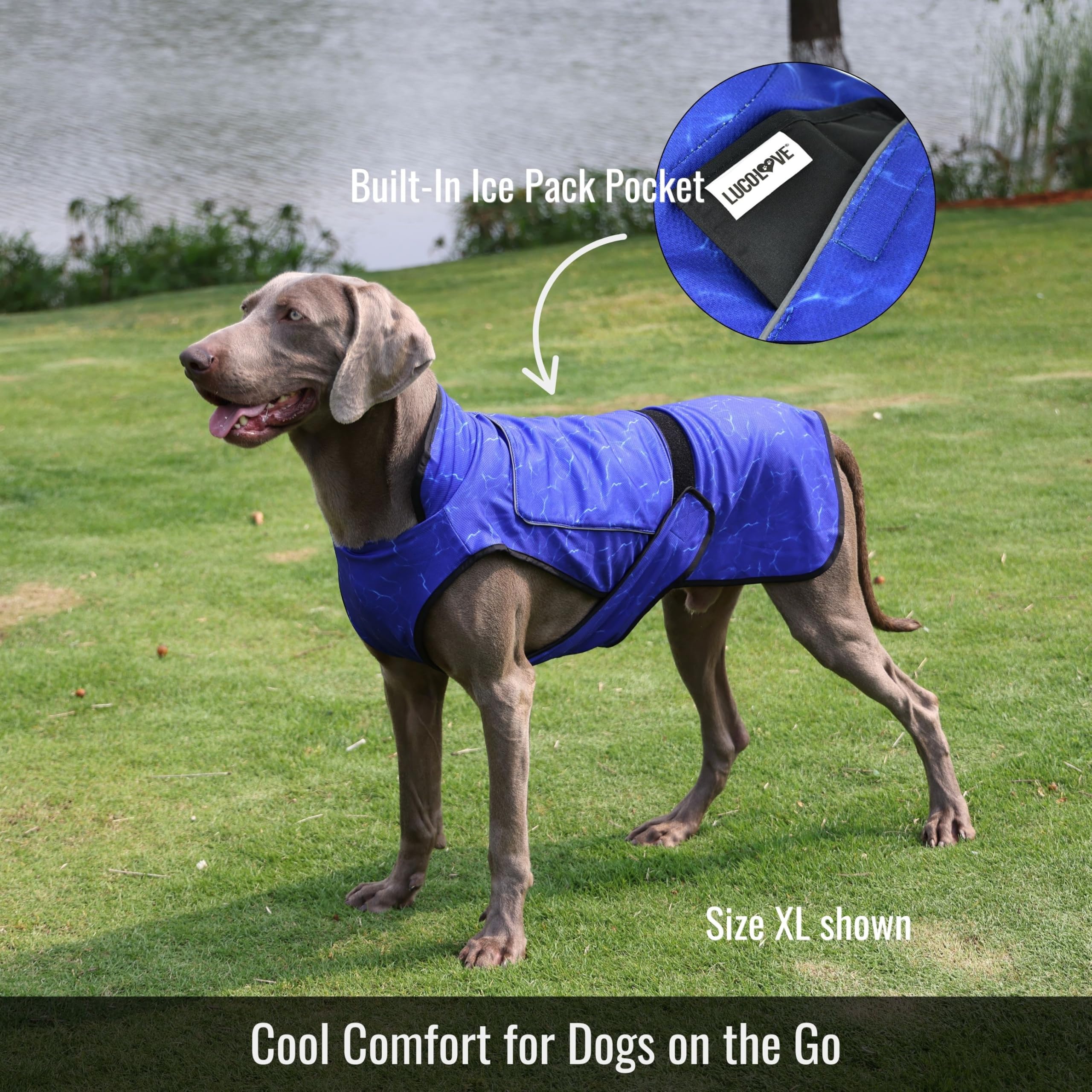 View 3