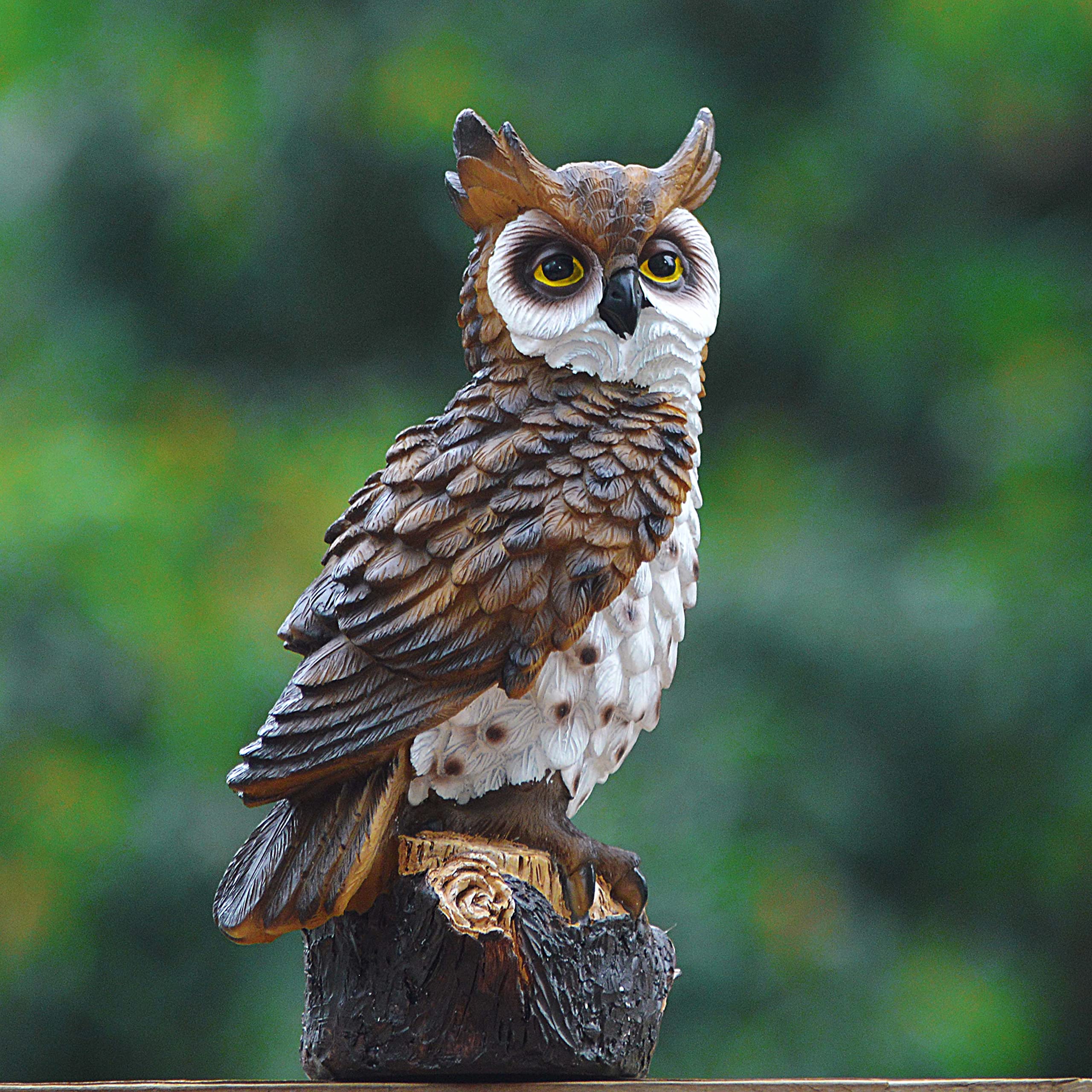 Amazon.com: Jeelyfu Fake Owl Scarecrow Decoy, Resin Owl Bird