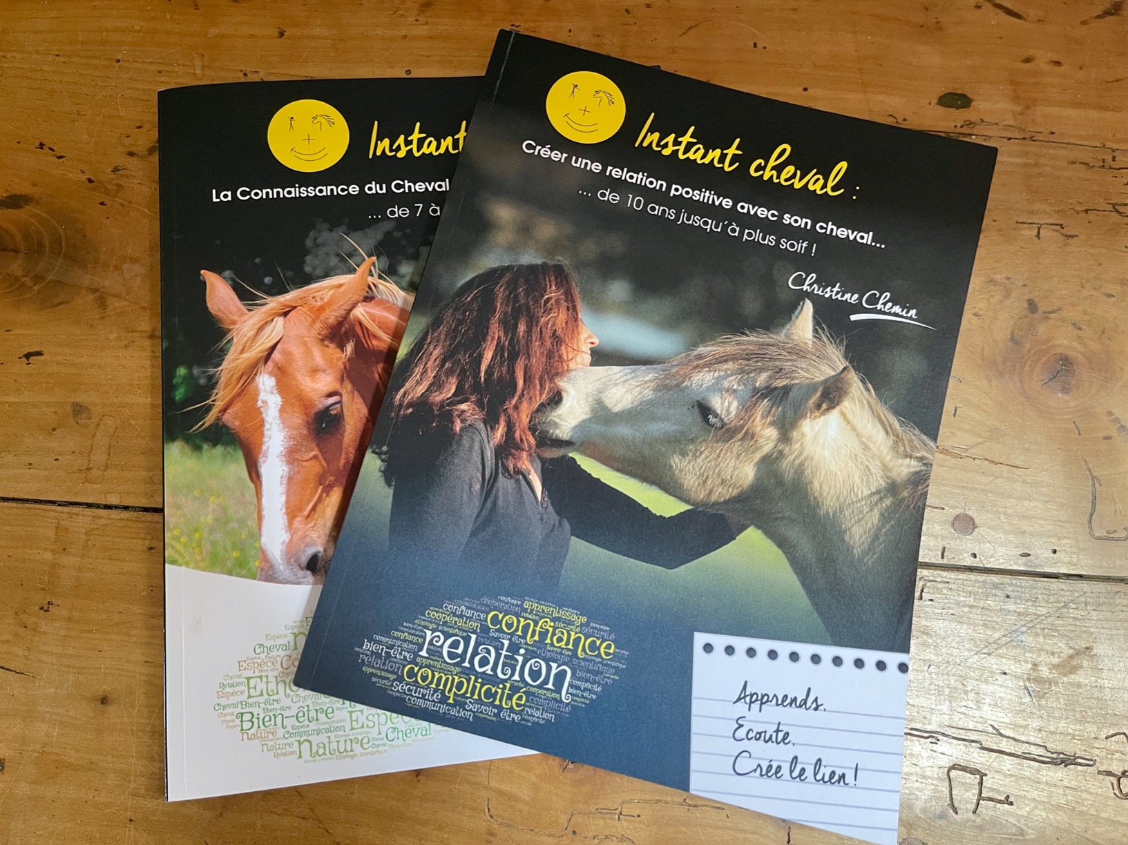 Instant cheval : créer une relation positive avec son cheval de 10