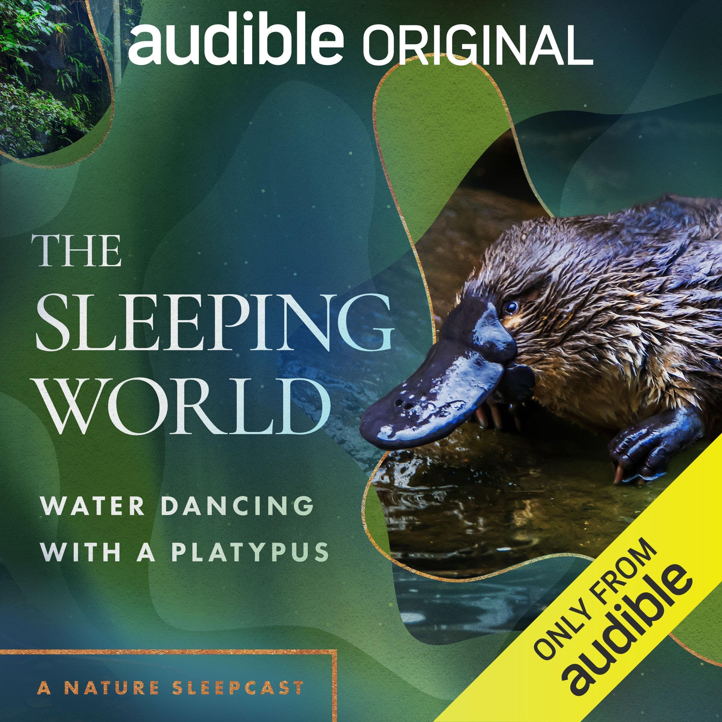 The Sleeping World: Water Dancing with a Platypus